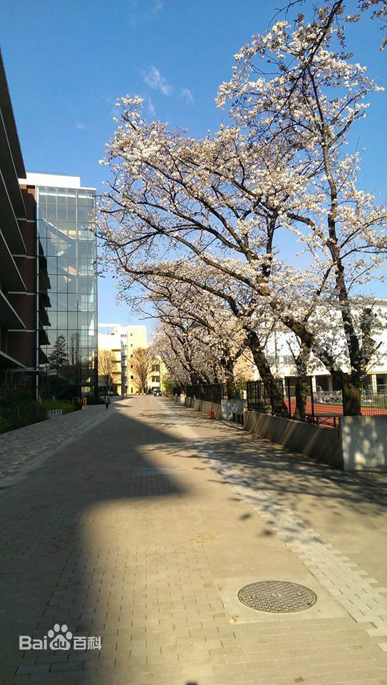 東京農業大學