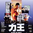 力王(香港1992年樊少皇主演的電影) 力王(香港1992年樊少皇主演的電影)