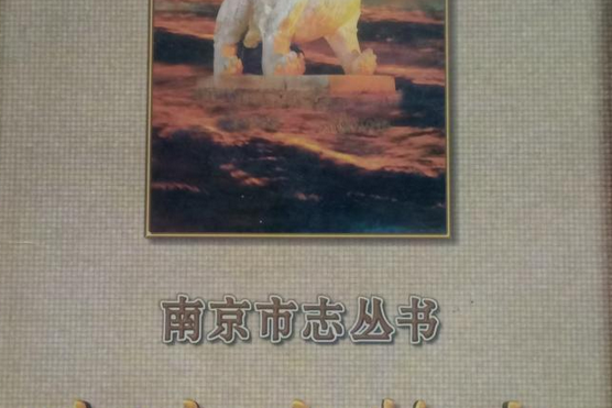 南京文物志