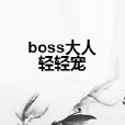 boss大人輕輕寵 boss大人輕輕寵