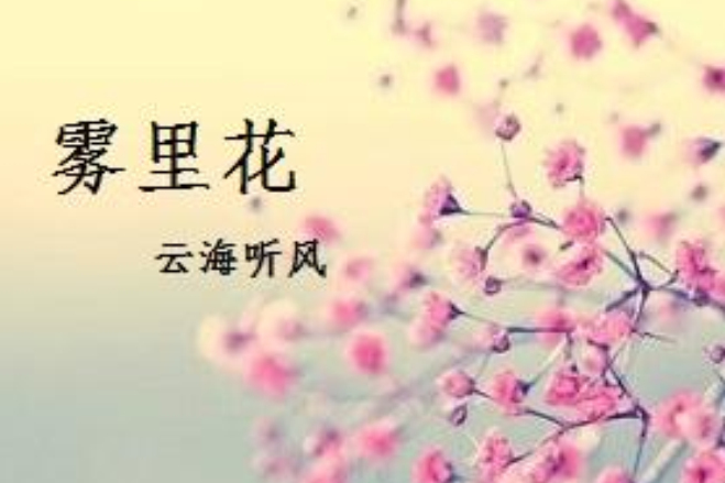 霧裡花(雲海聽風創作的網路小說) 霧裡花(雲海聽風創作的網路小說)