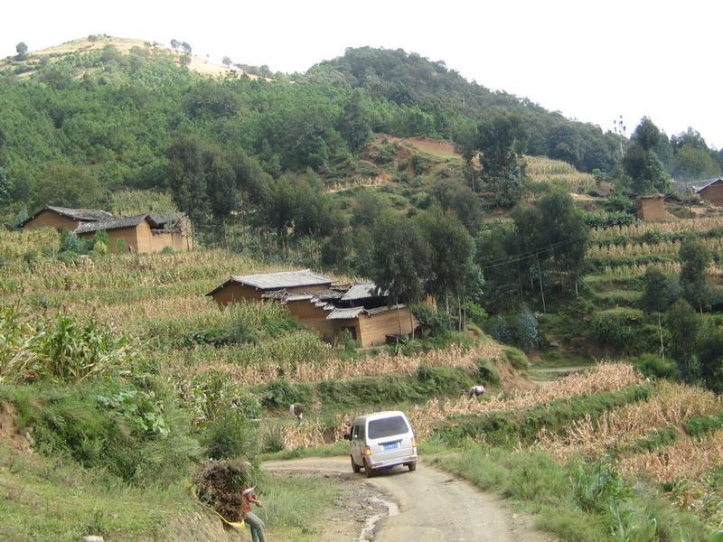 卡租村 卡租村