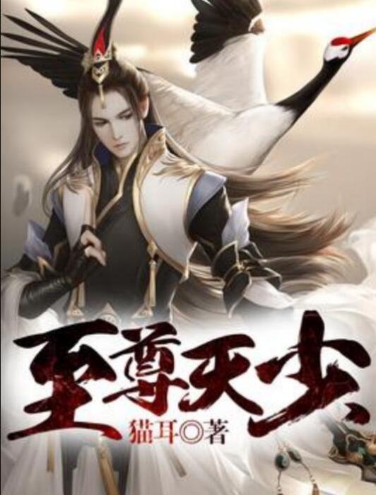 至尊天少 至尊天少