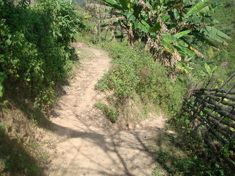 糯米箐村 糯米箐村