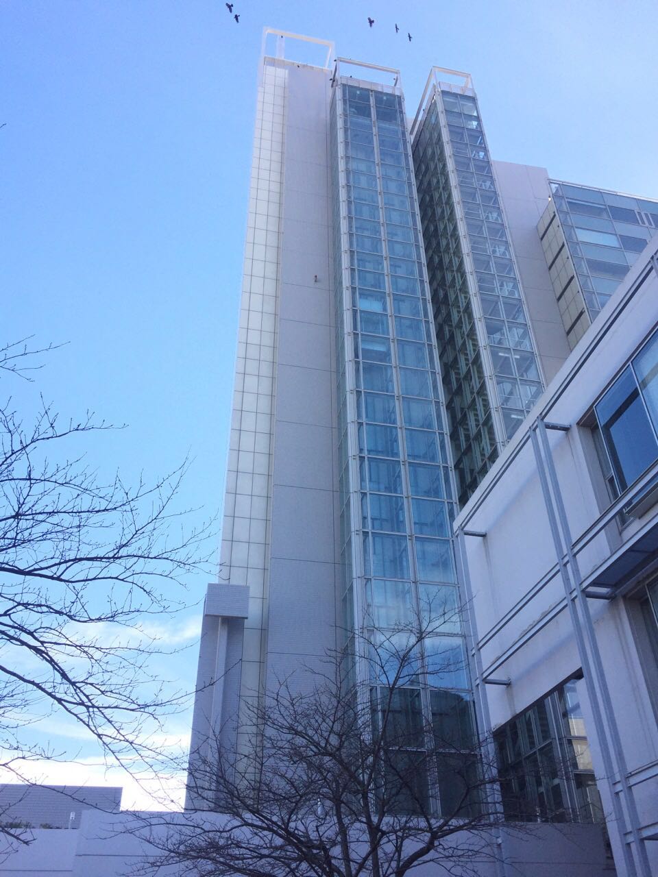 北九州市立大學本館仰視圖