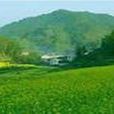 板場鄉(河南內鄉縣轄鄉) 板場鄉(河南內鄉縣轄鄉)