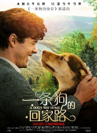 艾什莉·賈德 艾什莉·賈德