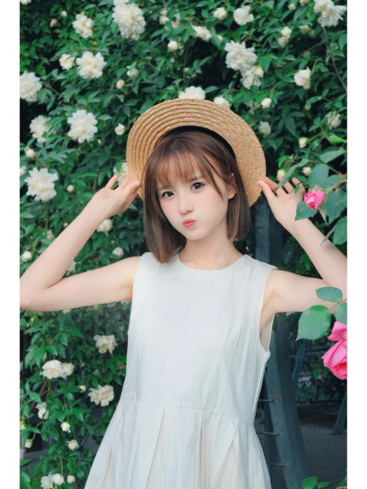 漸薔薇 漸薔薇