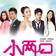 小兩口(2013年鄭曉龍執導電視劇) 小兩口(2013年鄭曉龍執導電視劇)