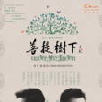 菩提樹下(鐘漢良劉愷威呂一楊蕊主演電視劇)