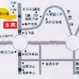 達飛綠洲 達飛綠洲