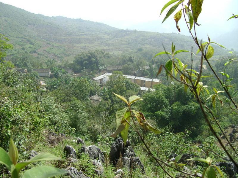 五祖坡村 五祖坡村