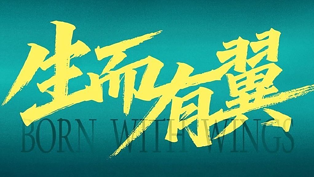 生而有翼(韓天執導的電視劇) 生而有翼(韓天執導的電視劇)