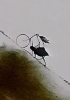 父與女