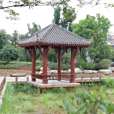 馬湖公園 馬湖公園