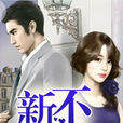 新不了情(小說)