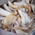 毒皮肚 毒皮肚