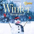 Winter Wonderland(英文原版) Winter Wonderland(英文原版)