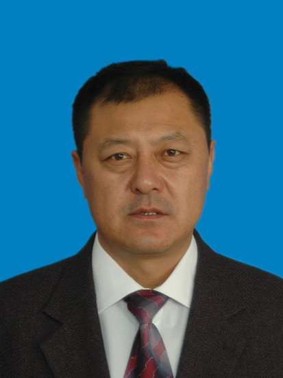 楊震(遼寧省葫蘆島市連山區水利黨組書記、局長) 楊震(遼寧省葫蘆島市連山區水利黨組書記、局長)