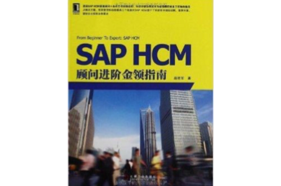 SAP HCM顧問進階金領指南