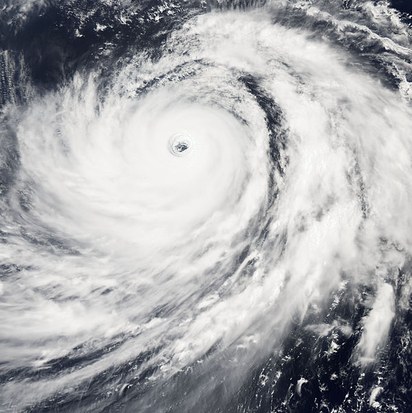 超強颱風彩蝶 衛星雲圖