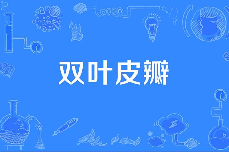 雙葉皮瓣 雙葉皮瓣