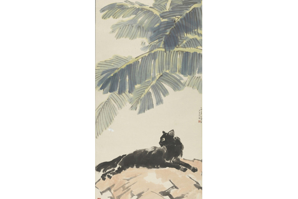 芭蕉黑貓 芭蕉黑貓