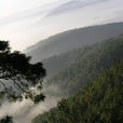 獅子山景區(湖南省韶山市獅子山) 獅子山景區(湖南省韶山市獅子山)