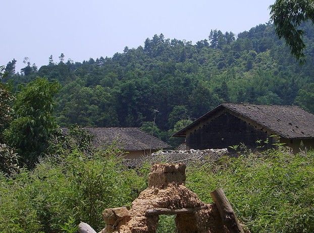 崗強村 崗強村