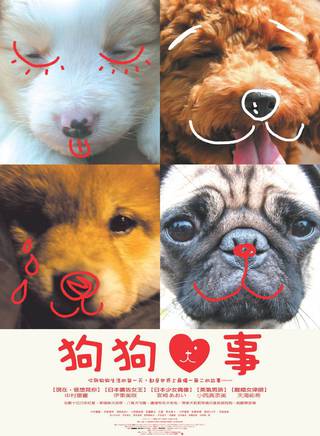 伊東美咲(伊東美) 伊東美咲(伊東美)