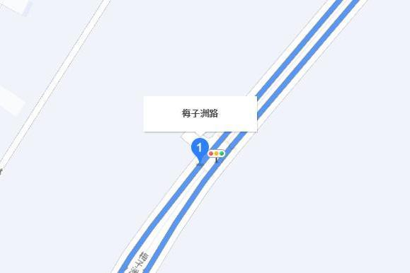 梅子洲路 梅子洲路