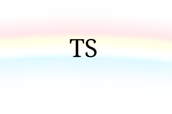 TS(網路語言)