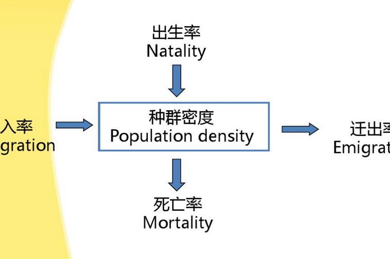 種群參數 種群參數