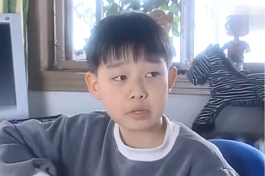李葵(家庭倫理劇《不嫁則已》中的角色) 李葵(家庭倫理劇《不嫁則已》中的角色)