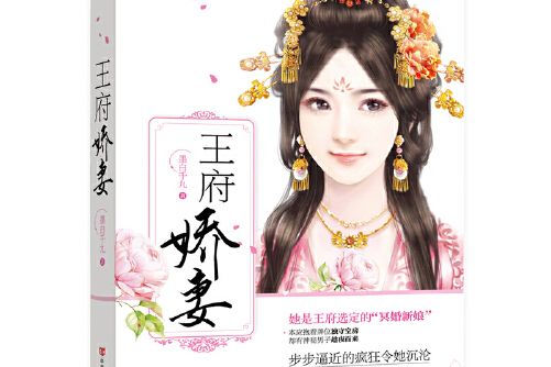 王府嬌妻 王府嬌妻