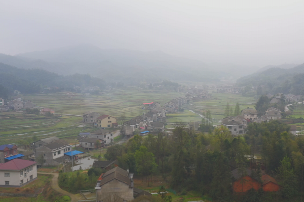 大華村(湖南省益陽市桃江縣桃花江鎮下轄村) 大華村(湖南省益陽市桃江縣桃花江鎮下轄村)
