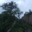 仙台山(河北省寬城縣仙台山) 仙台山(河北省寬城縣仙台山)