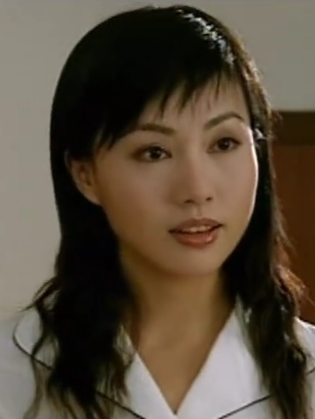 鎮長(2007年潘粵明主演的電視劇) 鎮長(2007年潘粵明主演的電視劇)
