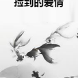 撿到的愛情 撿到的愛情