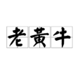 老黃牛