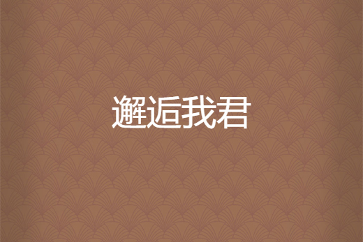 邂逅我君 邂逅我君