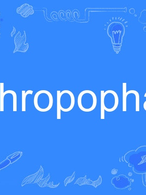 anthropophagi anthropophagi