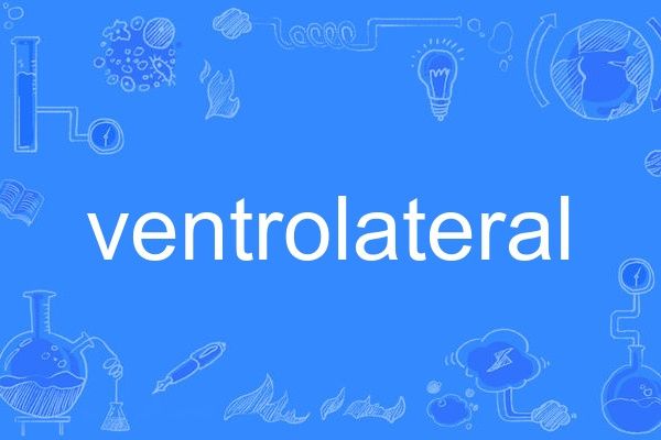 ventrolateral ventrolateral