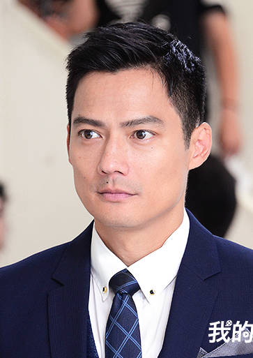 我的男孩(2017年林心如、張軒睿主演電視劇)