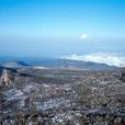 埃爾貢山
