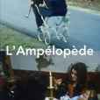 L\x27ampélopède L\x27ampélopède