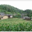 尖腦村 尖腦村