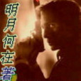 天下無諜(明月何在創作的網路小說)