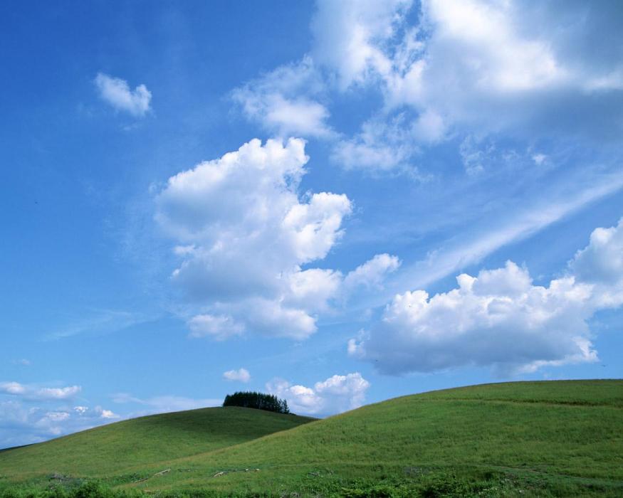 沈藍 沈藍