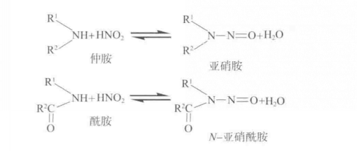 N-亞硝基化合物的形成